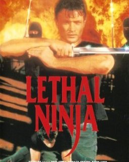 Lethal Ninja - la critique du film