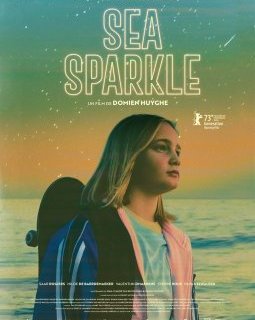 Sea Sparkle - Domien Huyghue - critique