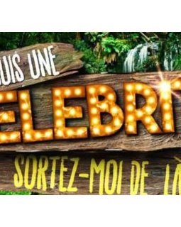 Je suis une célébrité, sortez-moi de là - saison 2