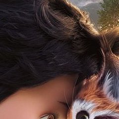 Heidi et le lynx des montagnes - Tobias Schwarz, Alzea Roca - critique