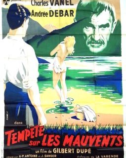 Tempête sur les Mauvents - Gilbert Dupé - critique
