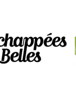 Échappées belles explore Rouen et ses environs
