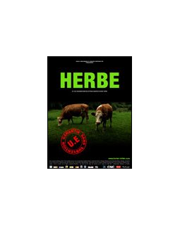 Herbe - la critique + test DVD
