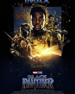 Box-office USA : Black Panther presque aussi fort que Star Wars