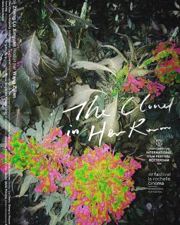 The Cloud in Her Room - Zheng Lu Xinyuan - critique