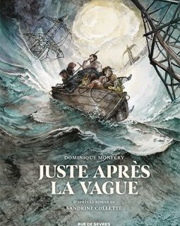 Juste après la vague – Dominique Monféry d'après le roman de Sandrine Collette – la chronique BD