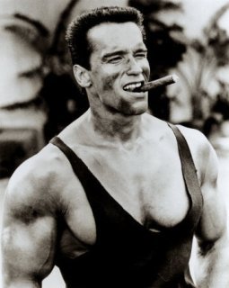 Arnold Schwarzenegger, retour possible ?