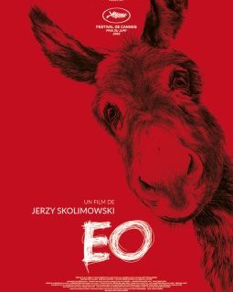 EO (Hi-Han) - Jerzy Skolimowski - critique