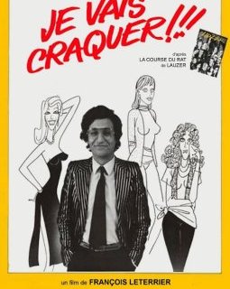 Je vais craquer - François Leterrier - critique 