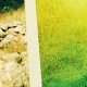 Derrière la colline - la critique