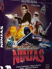 Coffret Ninjas chez Artus et Nanarland