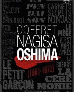 Coffret Nagisa Oshima (1961-1972) - le test DVD/Blu-Ray