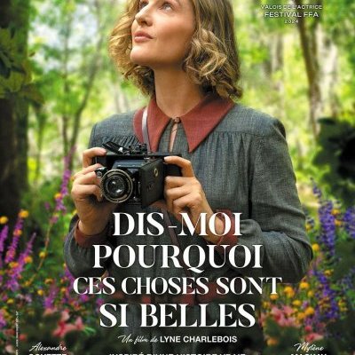 Dis-moi pourquoi ces choses sont si belles - Lyne Charlebois - critique