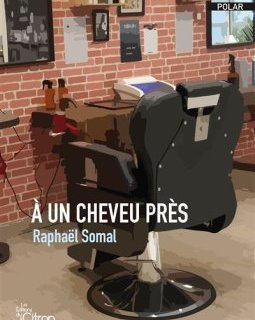 A un cheveu près - Raphaël Somal - critique