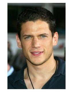 Wentworth Miller : un coming out anti Poutine !