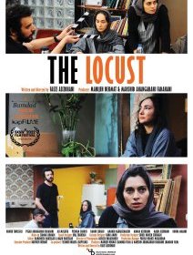 The Locust - Faezeh Azizkahni - critique