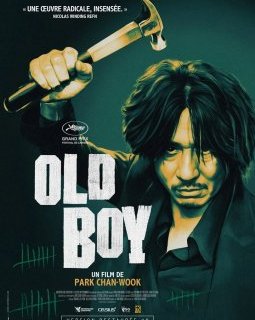 Old Boy - Park Chan-wook - critique
