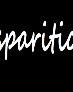 Décès de l'écrivain Jean-Claude Albert-Weil