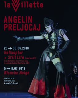 Still life et Helikopter d'Angelin Prejlocaj à la Grande Halle de la Villette
