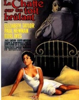 La chatte sur un toit brûlant - la critique