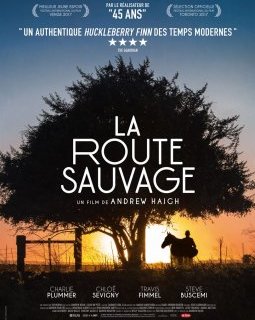 La route sauvage - Andrew Haigh - critique