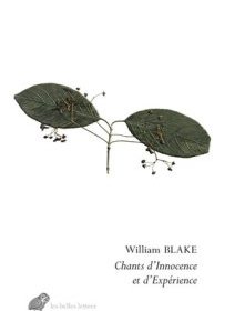 Chants d'innocence et d'expérience – William Blake – chronique du livre 