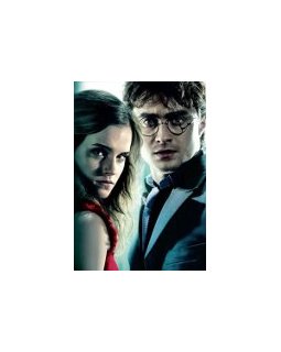 Harry Potter 7, les reliques de la mort - duo sur affiches