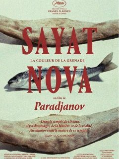 Sayat Nova - Sergei Paradjanov - critique