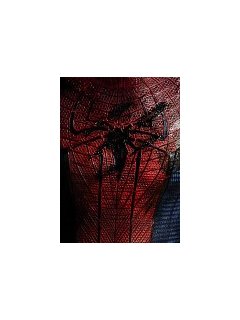 The Amazing Spider-man : des nouvelles du reboot avec Andrew Garfield