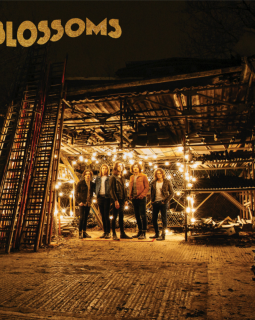 Blossoms : premier album conquérant 