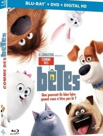 Comme des Bêtes : le phénomène passé au crible, à l'occasion de sa sortie vidéo