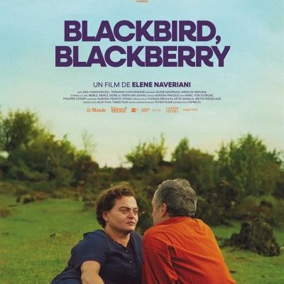 Blackbird, Blackberry - Elene Naveriani - critique
