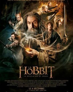 Box office Paris 14h - Le Hobbit la désolation de Smaug s'offre le 5ème meilleur démarrage de l'année