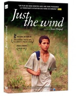 Just the wind - le test DVD