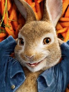 Pierre Lapin : Philippe Lacheau dans un civet de Pâques. 