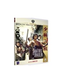 Les 5 maîtres de Shaolin - la critique
