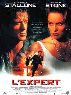 L'expert - la critique