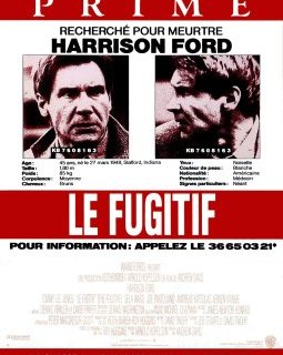 Le fugitif - La critique