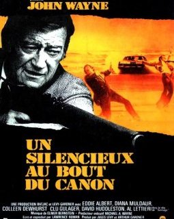 Un silencieux au bout du canon - John Sturges - critique