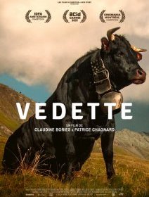 Vedette - Claudine Bories et Patrice Chagnard - critique 