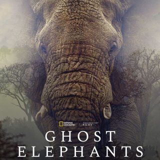 Ghost Elephants - Werner Herzog - critique