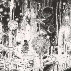 <br>©Hayao Miyazaki, <i>Nausicaä de la vallée des vents</i>, Glénat, 2000 <br>©Hayao Miyazaki, <i>Nausicaä de la vallée des vents</i>, Glénat, 2000