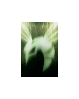 Box-office américain du 16/01/2011 : The Green Hornet sort son dard 