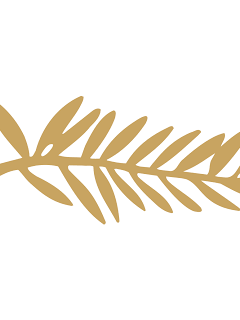 Le scandale Kechiche, vécu sur place