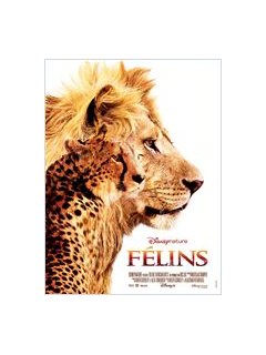 Les félins - la bande-annonce VF