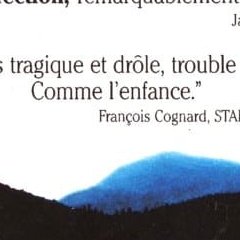 Mort du réalisateur Rob Reiner