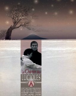 Ken Takakura (1931-2014) : une star japonaise s'éteint