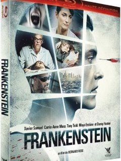 Frankenstein (2015) - la critique du film