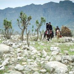 My Sweet Pepper Land : Photo Korkmaz Arslan