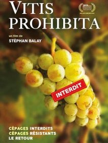 Vitis prohibita - la critique du film